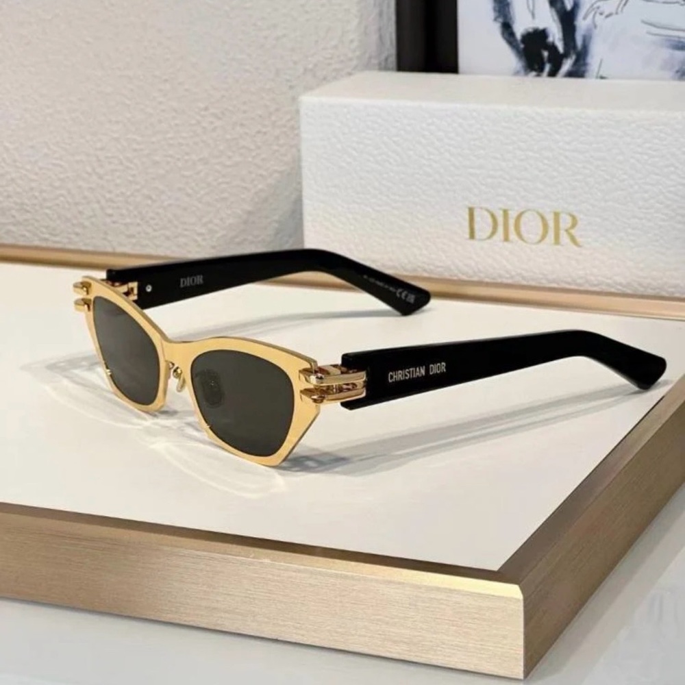 CDior B3U Sunglasses 🔥